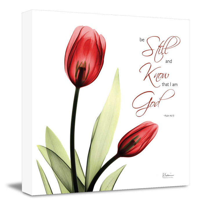 Red tulips (be still and know that I am god) Poster Print Flower Canvas art Print, Modern X-Ray Wall Painting For Living Room Decor, Design By Albert Koetsier