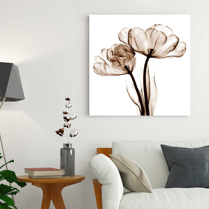Nordic Style Modern X-Ray  Flower Canvas Painting Decorative Picture Home Room Wall Art Decor Poster, Design By Albert Koetsier