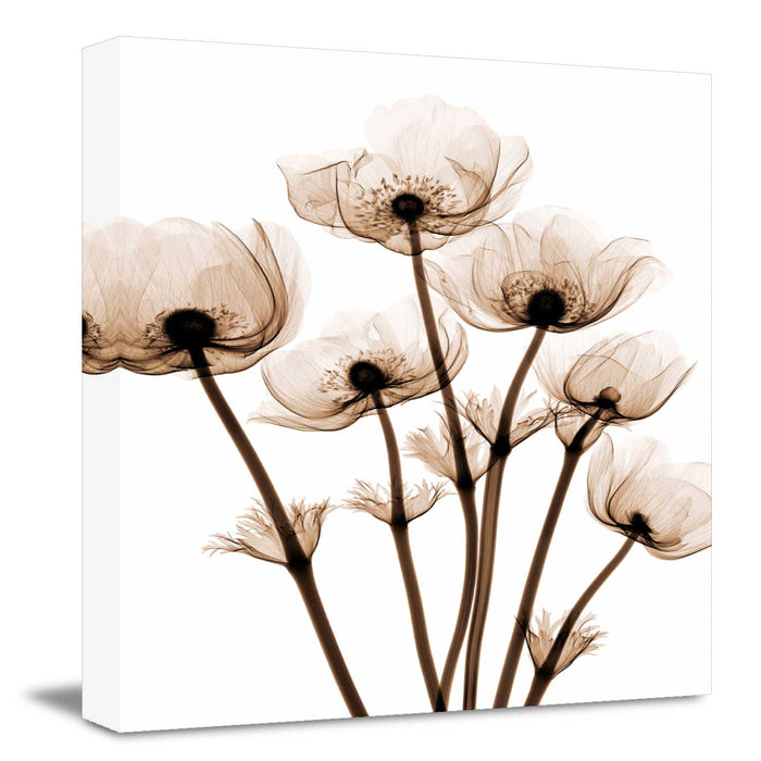 Nordic Style Flower Canvas Painting, Modern Artwork Canvas Wall Art Posters for Bedroom Living Room Bathroom Office Home Décor, Design By Albert Koetsier