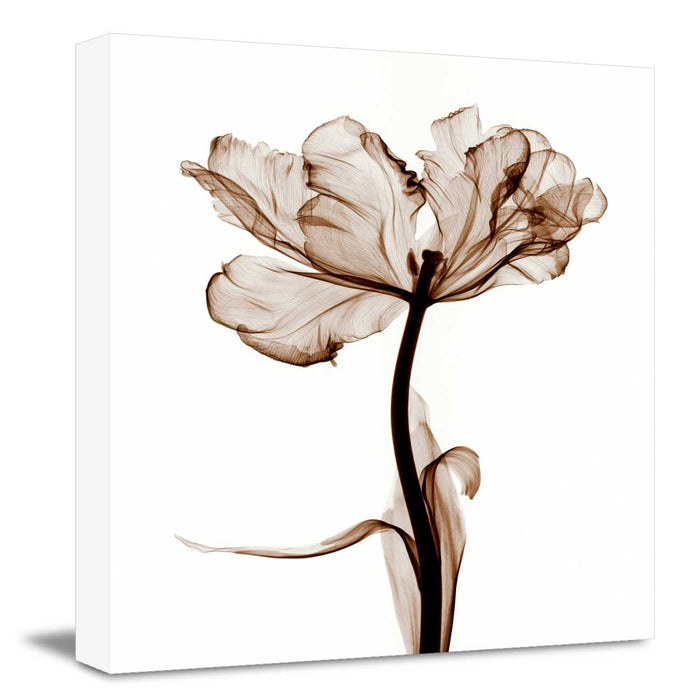 Nordic Style Flower Canvas Painting, Modern Artwork Canvas Wall Art Posters for Living Room Bedroom, Office, Home Décor, Design By Albert Koetsier
