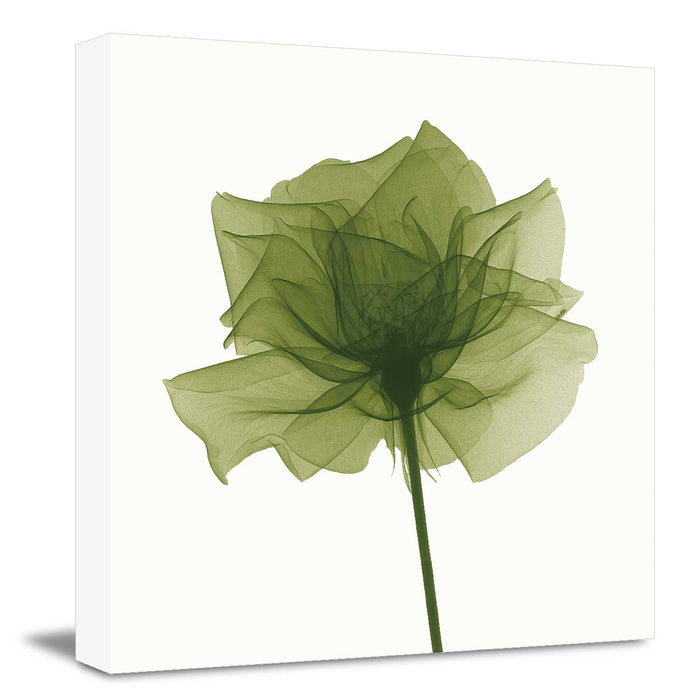 Lime Green Wall Painting, Gallery Wrapped Floral Canvas Print Green  Paintings on Canvas Wall Art Ready to Hang for Living Room Home Decorations, Design By Albert Koetsier