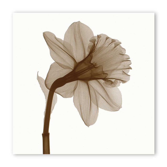 Flickering Brown Flowers Canvas Prints Wall Art Large Modern Abstract Floral Pictures Paintings for Living Room Bedroom Home Decorations,  Design By Albert Koetsier
