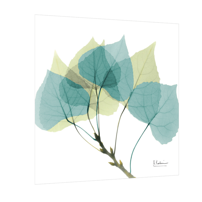 Aspen Leaf Prints,Abstract Canvas Paintings & Wall Art for Living Room Bedroom Home Decorations,  Design By Albert Koetsier
