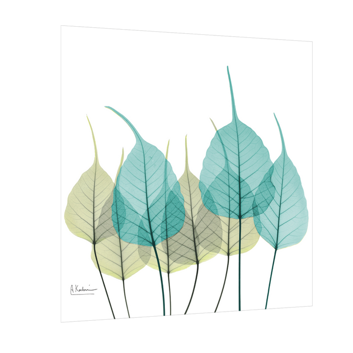 Spring Bodhi Leaves Prints, Abstract Canvas Paintings & Wall Art for Living Room Bedroom Home Decorations,  Design By Albert Koetsier