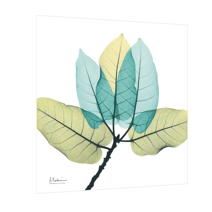 FicusBurkey Leaves Prints, Abstract Canvas Paintings & Wall Art for Living Room Bedroom Home Decorations,  Design By Albert Koetsier