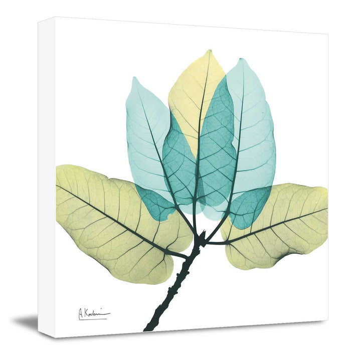 FicusBurkey Leaves Prints, Abstract Canvas Paintings & Wall Art for Living Room Bedroom Home Decorations,  Design By Albert Koetsier