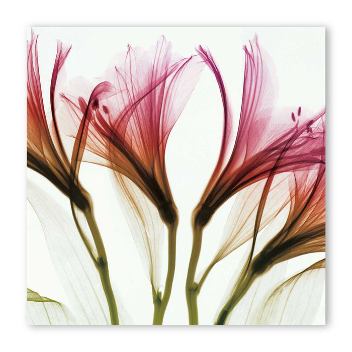 Flowers Painting Canvas Prints Wall Decor Wall Art for Living Room Bedroom Home Decorations,  Design By Albert Koetsier ( Size 24x24 Inch)