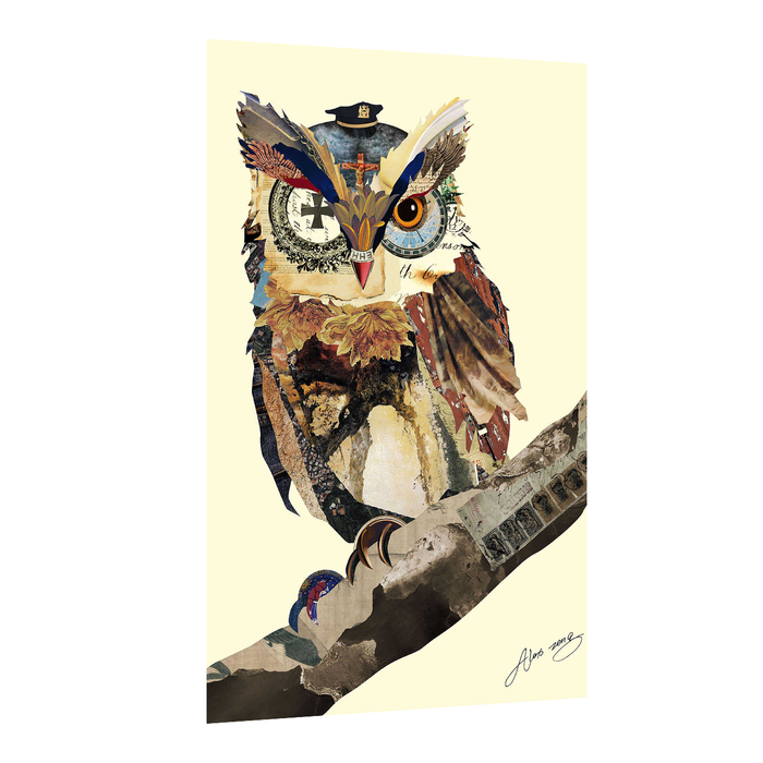 Canvas Painting Wall Art Print Picture Strech Wisest Owl Decorative Paintings For Kids Room, Home, Living Room